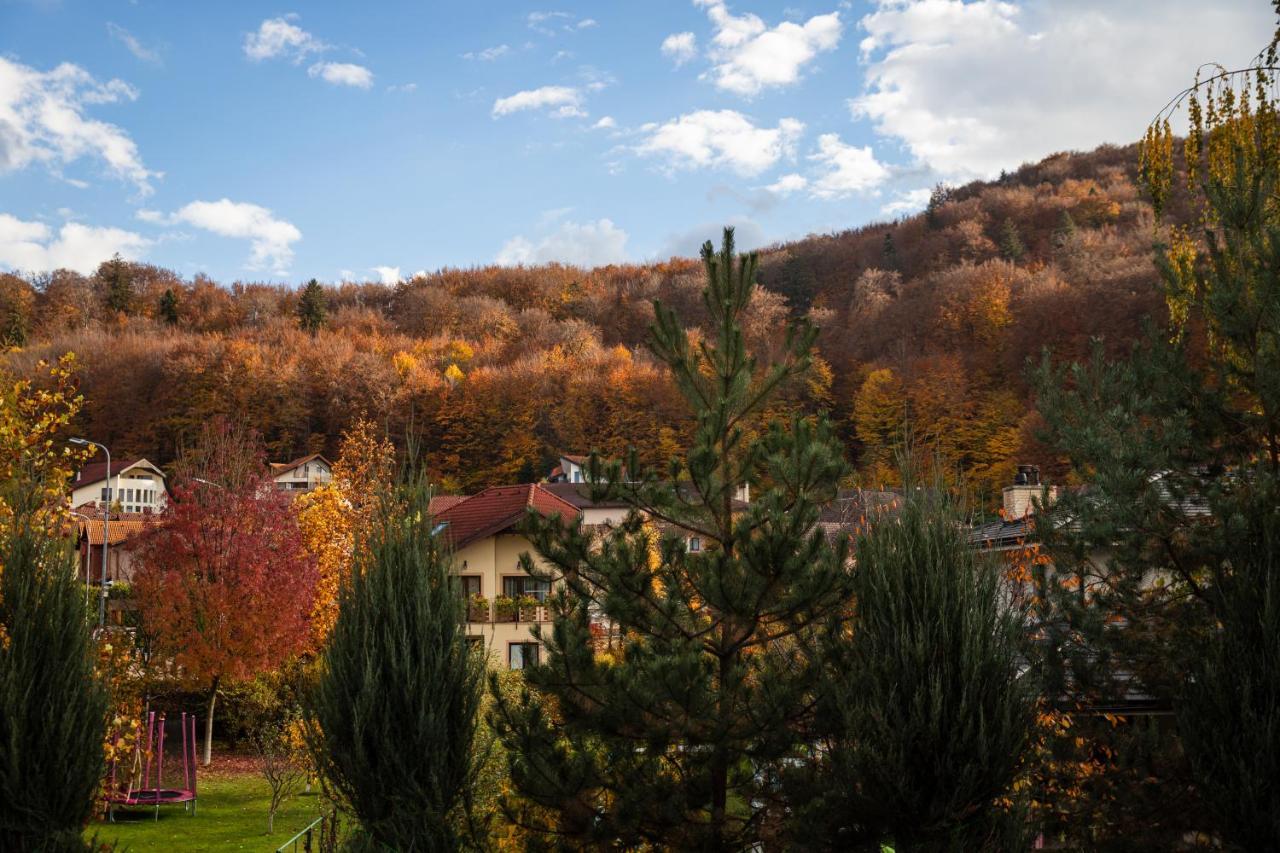 Jungle Family Villa Near Park Aventura,Lake,Zoo Brasov Exterior photo